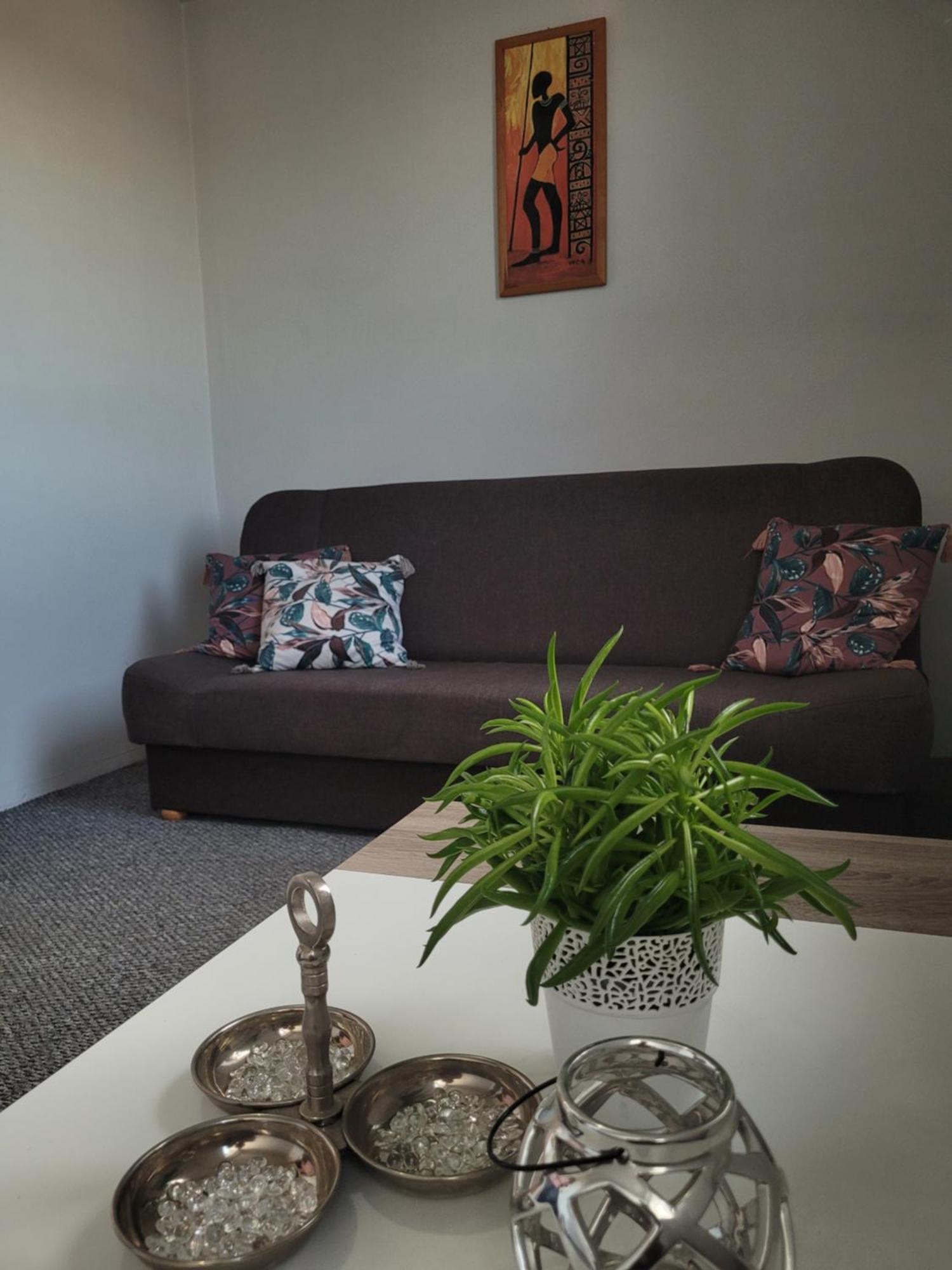 Zdunska Apartment